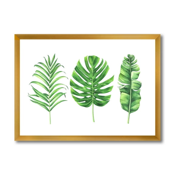 Designart 'Close Up Of Tropical Leaf Of Monstera IV' Farmhouse Framed Art Print