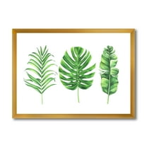 Designart 'Close Up Of Tropical Leaf Of Monstera IV' Farmhouse Framed Art Print