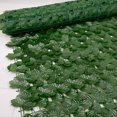 thumbnail image 4 of Algaecide Powder/Tablet for Aquarium Indoor Pool Fish Bowl Lichen Remover, 4 of 6