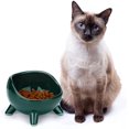 thumbnail image 3 of Cuenco para gatos (1 x 650 ml), cuenco elevado de cerámica para gatos/cachorros, cuenco ortopédico en ángulo para gatos adultos/gatitos para comida/agua - verde esmeralda. Afortunado Sencillez, 3 of 5