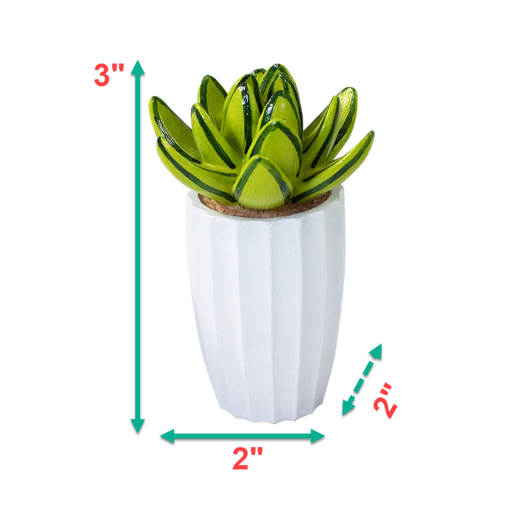 Succulent Decor Aquarium Resin Decorations for Fish Tanks - Size Small - Selection Will Vary