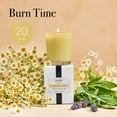 thumbnail image 5 of LAFCO New York Votive Candle, Chamomile Lavender - 1.9 oz, 5 of 6