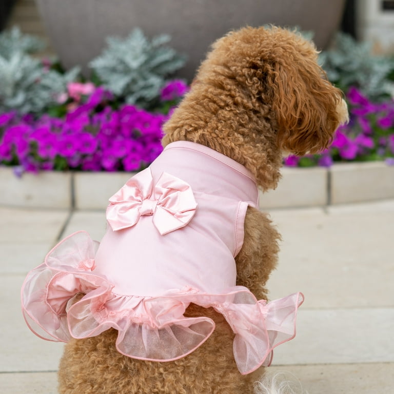 Pink hotsell dog dress