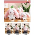 thumbnail image 2 of Strawberry Bunny Transformed into Little Rabbit Fruit Doll Plush Toy Carrot Rabbit Plush Doll Girl Kids Birthday Present, 2 of 4