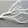 thumbnail image 5 of Shop Clearance! 3Pcs 13.7” Dried Artificial Plant Tree Branches Stem Home Flowers Decoration, 5 of 5