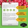 thumbnail image 2 of Survival Garden Seeds Champion Radish 3 Pack - Non-GMO Heirloom Vegetable Seed - Full Sun Biennial, 2 of 7
