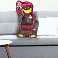 thumbnail image 3 of Bleacher Creatures South Carolina Gamecocks Cocky 24" Mascot Sideline Pal, 3 of 4