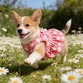 thumbnail image 5 of Kbndieu Happy Easter Day Dog Dress Girl Puppy Skirt Easter Bunny Dog Clothes Outfit Cat Clothing Doggy Costume for Small Dogs Cats Pet Apparel, Pink L, 5 of 6