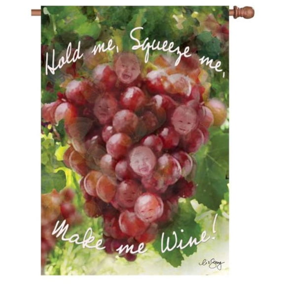 Premier House Size Flag - Make Me Wine