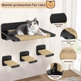 thumbnail image 4 of Cat Hammock Cat Wall Shelves with 3 Cat Wall Steps, Wall Mounted Cat Shelves and Perches with Hemp Rope Scratching, Cat Wall Furniture Climbing Shelves for Indoor Cats Set, 4 of 14
