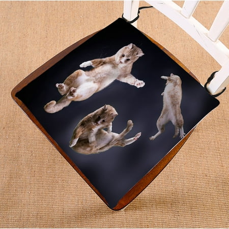 

PHFZK Three Cats Jumping in Space Seat Cushion Chair Cushion Floor Cushion Two Sides Size 16x16 inches