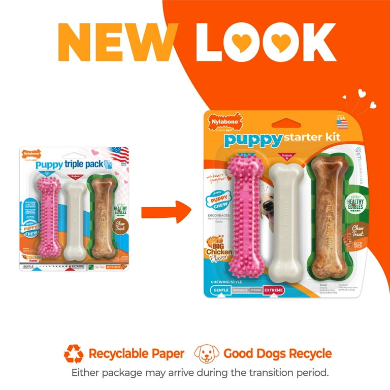 【3袋セット】LEYON StudyFood 60g×3 Nylabone, Puppy Chew Dog Toy Starter Kit, 3 Pack, Small, Pink