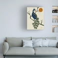 thumbnail image 2 of Trademark Fine Art Erum Khalili  Vintage Peacock Canvas Wall Art, 2 of 4