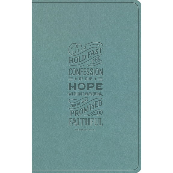 ESV Large Print Value Thinline Bible (Trutone, Paris Sky, Hebrews 10:23 Design), (Hardcover)