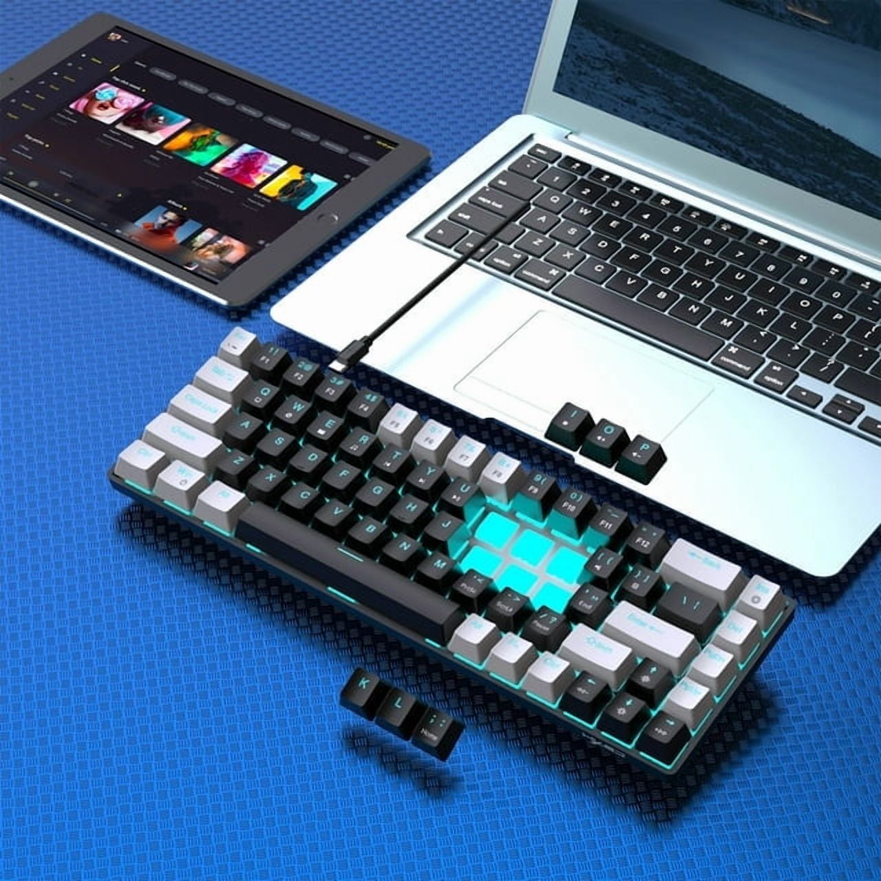 Mechanical Gaming Keyboard Wired, 68 Keys RGB Backlit 60% Keyboard,Multimedia & Anti-ghosting Keys for Windows Computer Laptop PC Mac Gamer,White and Black