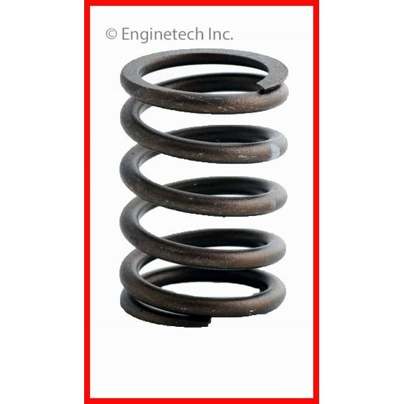 VALVE SPRING 4 GM PONT