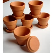 Angle View: Pennington Mini Terra Cotta 2" Pots with Saucers (One Dozen)