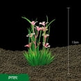 thumbnail image 1 of TIMIFIS Fish Tank Accessories Decorations Sécateurs de Sécateurs de Sécateurs Lames en Acier Inoxydable - Automne/hiver, 1 of 2