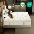 thumbnail image 6 of Surlunkeys 14 inch Queen Size Mattress in a Box with Pocket Springs, Euro Top Comfort & Pain Relief Medium Firm Hybrid Mattress, 6 of 7