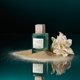 thumbnail image 5 of Perfume CLEAN H2EAU Musk Noir 100 ml para mujer, 5 of 7