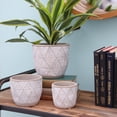 thumbnail image 2 of Cement Pot Washed Finish Gray-6.25"H, 2 of 2