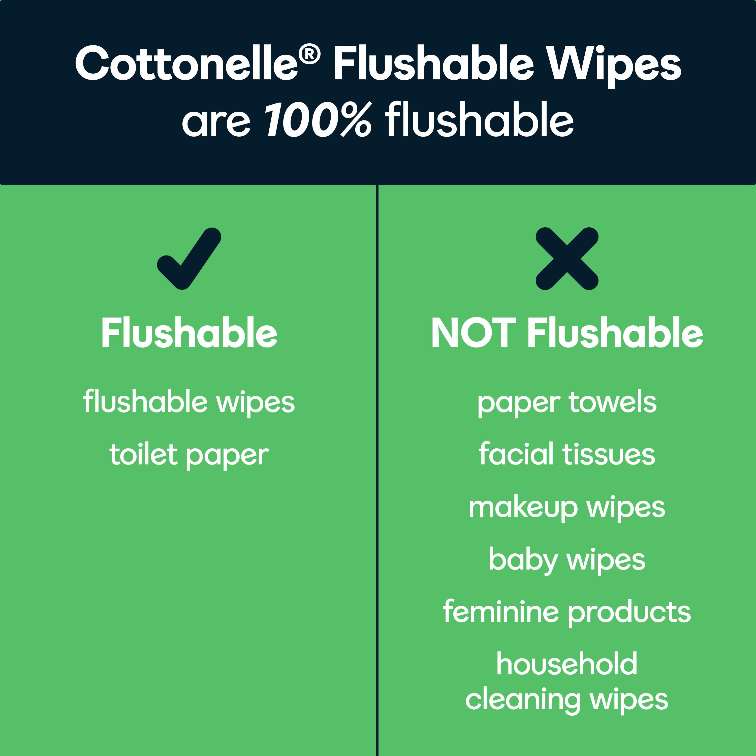 Potty Training: Flushable Wipes vs. Toilet Paper