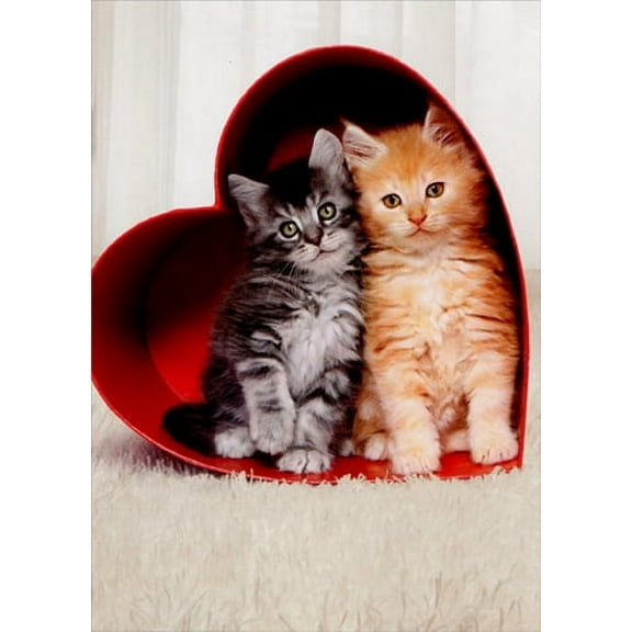 Avanti Press Two Kittens In Heart Box Cat Valentine's Day Card