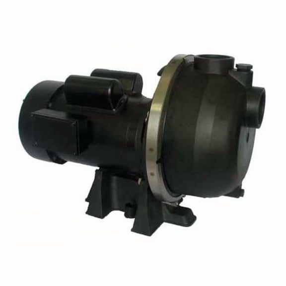 Dayton Pump,3 HP,1Ph,120/208 to 240VAC 5UPW2