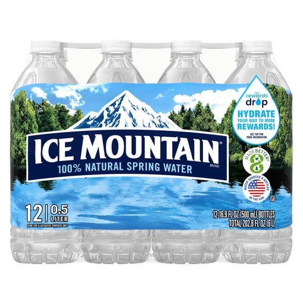 ICE MOUNTAIN Natural Spring Water, 16.9 fl oz Bottles, 12 Pack