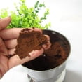 thumbnail image 3 of Molinillo de café eléctrico YONGSHENG 110/240v para especias hierbas granos Enchufe europeo, 3 of 3
