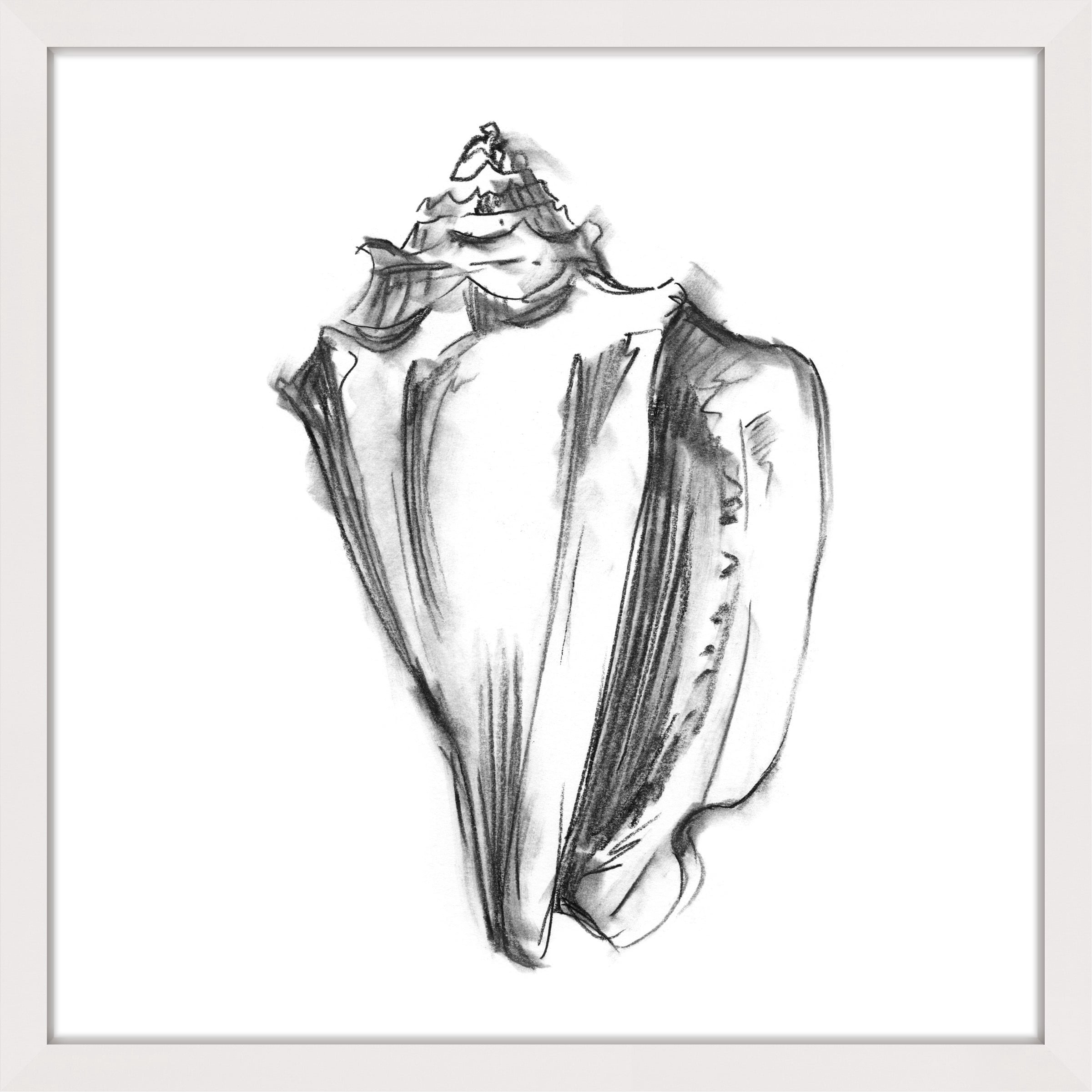 Marmont Hill "Shell Sketch I" Framed Painting Print