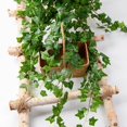 thumbnail image 2 of Guirnalda de hiedra artificial adaptable al clima: paquete de 12 plantas colgantes de 84 pies para decoración del hogar, bodas, oficina, hojas de tela, tallos de plástico, realistas y reutilizables, 2 of 8