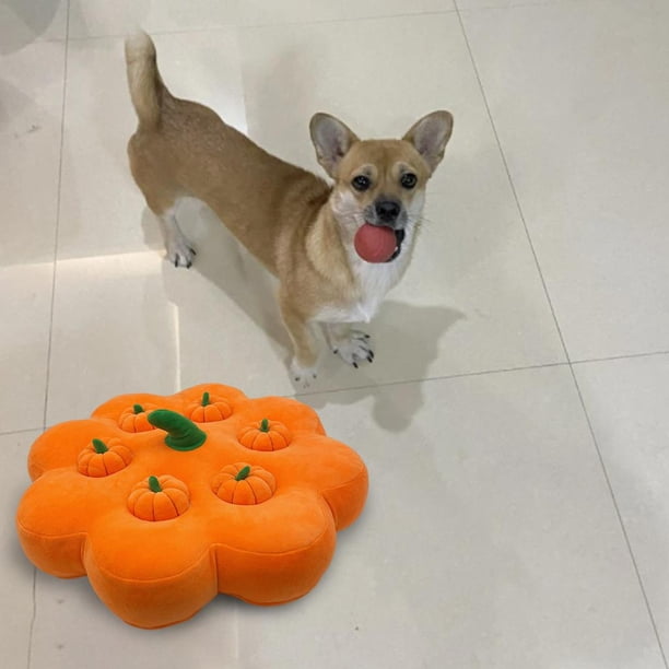 Juguete de Peluche Vegetal para Jardín, Juguete de Muelas Rellenas , , Fruta, Educación para La Interacción entre Padres E Hi , Calabaza Yotijar Muñeca Zanahoria