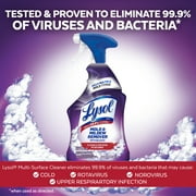 Lysol, Mold & Mildew Foamer with Bleach, Removes Stains, 32 oz