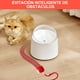 thumbnail image 4 of Pelota Interactiva CAVIGLTE Recargable con Modos de Luz para Perros y Gatos, 4 of 6