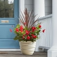 thumbnail image 2 of Mainstays Capri Round Plastic Planter, Vanilla Dream, 14 in x 14 in x 11.5 in, 2 of 12