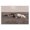Longhorn Cattle Pasture, variant on Stupell Industries Southwestern Longhorn Cattle Grazing Scenic Countryside Landscape Black Framed Giclee Art, 14 x 11, by Marcus Prime