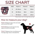 thumbnail image 5 of Pañal para perros, bragas lavables para perros, pantalones menstruales para perros, transpirables y frescos, cómodos para mascotas Little Teddy, perra, cachorros JFHHH pequeña, 5 of 5