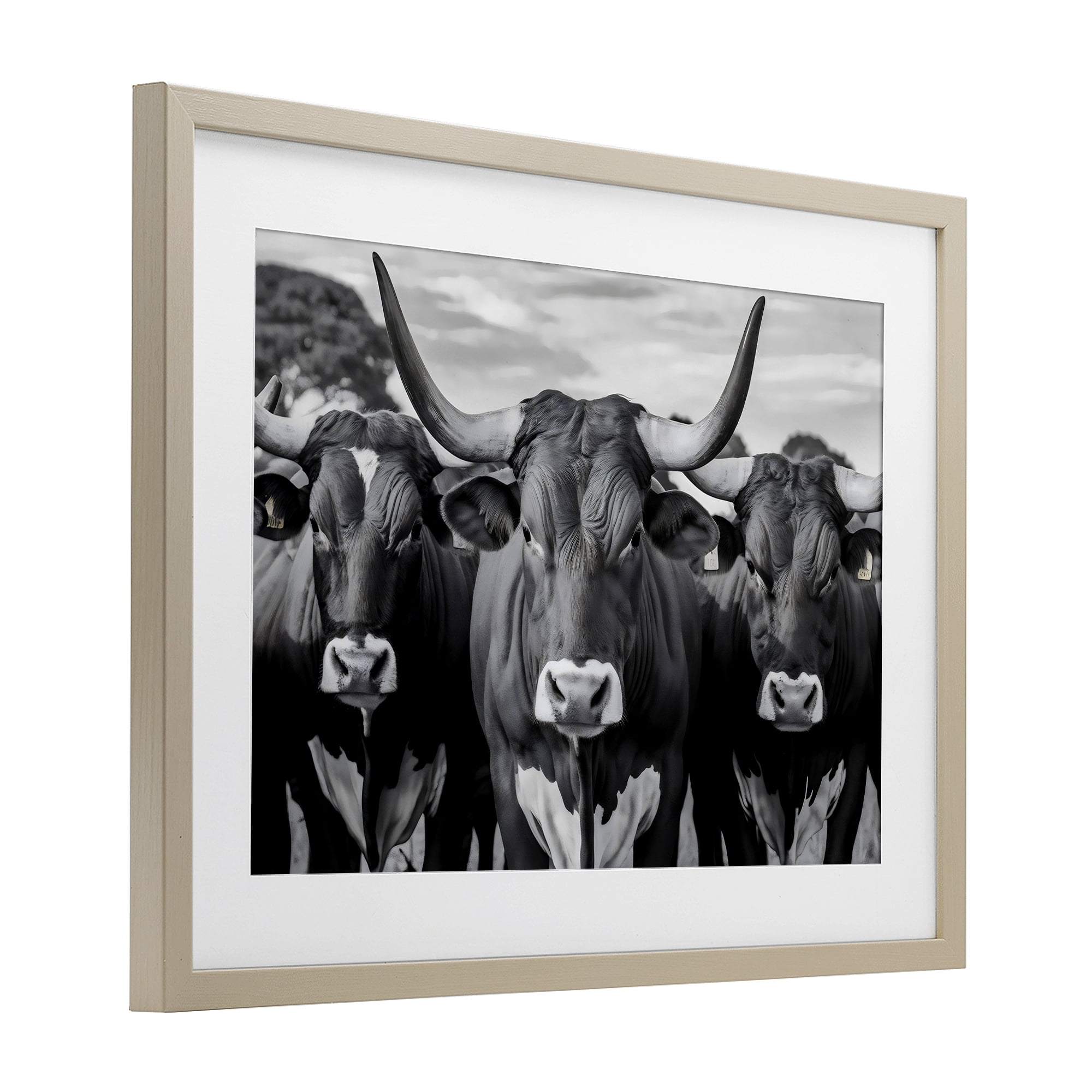 Stupell Industries Three Longhorns in a Row Birch Framed Print Under Glass, design by Creative Studio
