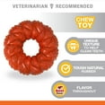thumbnail image 3 of Nylabone Strong Chew Braided Ring Dog Chew Toy Beef Medium (1 Count), 3 of 9