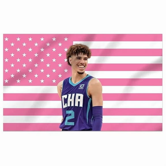 LaMelo Ball Decorative Flag Pink American Cool Banner Funny Tapestry With Two Grommets For College Dorm Room Guys Porch