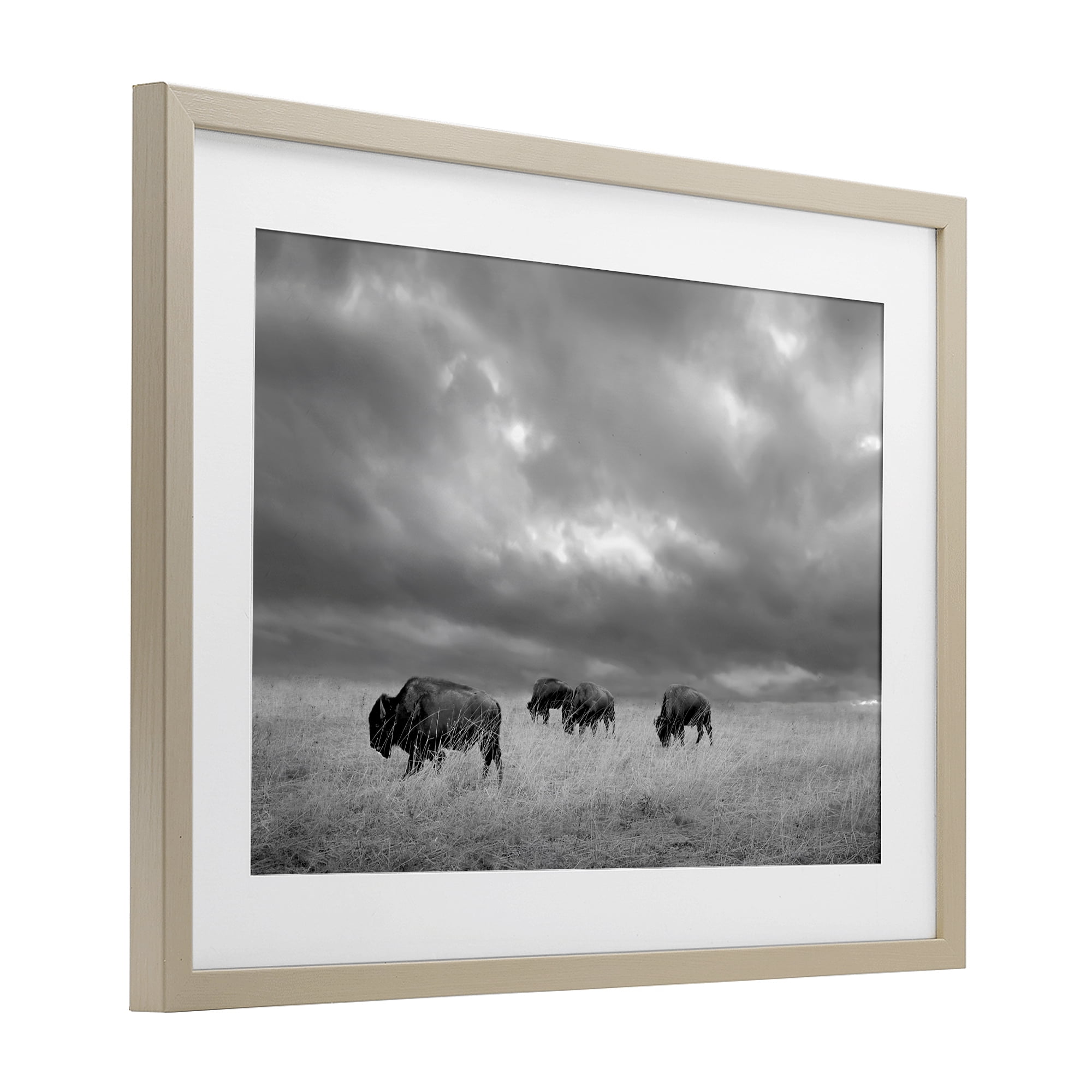 Stupell Industries Bisons Under an Autumn Sky Birch Framed Print Under Glass, design by Steve Toole