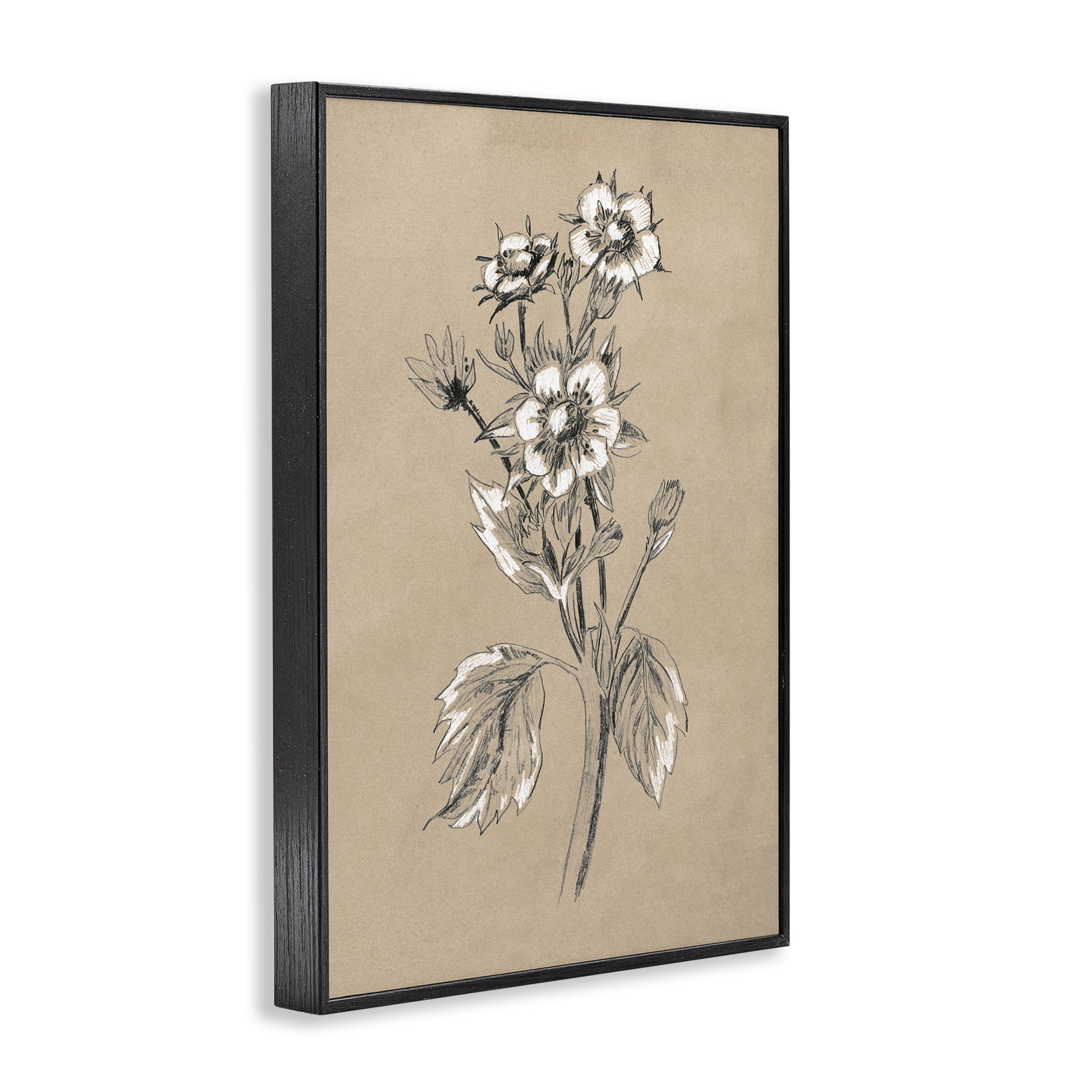 Stupell Industries Apple Blossom Drawing Botanical & Floral Drawing Black Framed Art Print Wall Art, 20 x 30