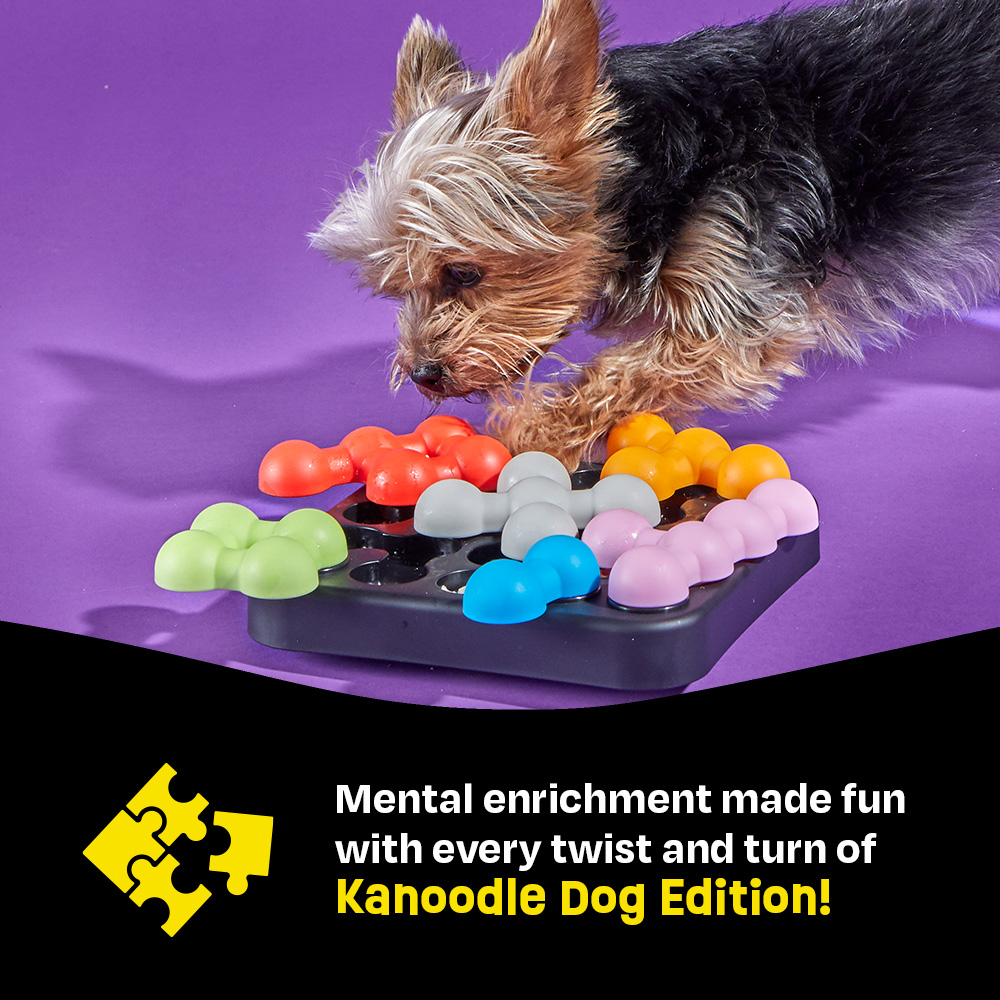 Brightkins Kanoodle Dog Edition Small, Puzzle Toy photo 4