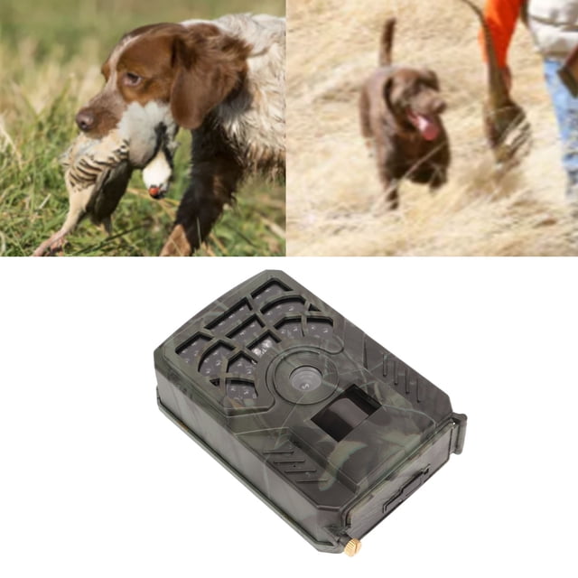 Caméra de Piste, Caméras de Jeu Étanches Infrarouges HD IP56 pour Surveillance des Animaux