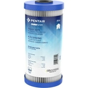 Pentair OMNIFilter RS6 10" Heavy Duty Whole House Pleated Polyester Sediment Water Filter
