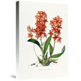 thumbnail image 1 of 22 Po Étoile Orchidée Art Imprimé - John Lindley, 1 of 1