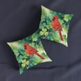 thumbnail image 2 of Happy Red Cardinal Welcome St Patrick's Day Lucky Shamrocks Clover Pillow Cushion Double Sided Wild Birds Lover Throw Pillow - 22001, 2 of 5