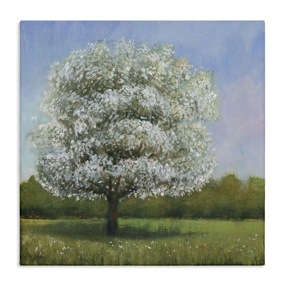 Stupell Industries French Country Spring Blossom Tree Floral Meadow Canvas Art, 17 x 17, by Tim O'Toole