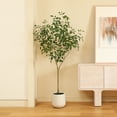 thumbnail image 6 of 6ft Fake Ficus Tree with Oval White Planter, Pre Potted Faux Greenry Plant for Home Decor Office House Living Room Indoor Outdoor, Big Fake Plants Fake House Plants, 6 of 8